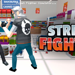 Street Fighter Simulator