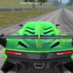 Speed Racing Pro 2