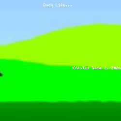 Duck Life
