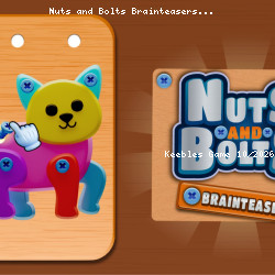 Nuts and Bolts Brainteasers